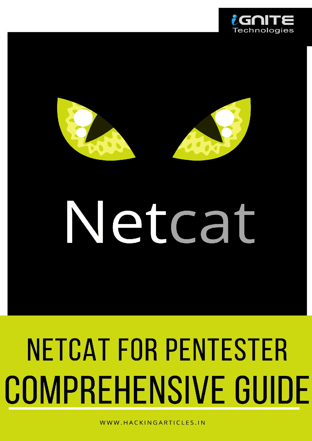 NetCat for pentesters - Chiragh